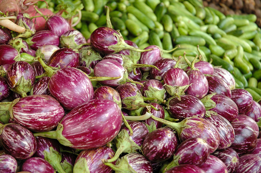 Our 12 favourite eggplant recipes