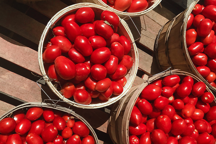 12 tomato-based recipes