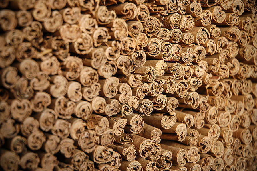 Beautiful Cinnamon Sticks