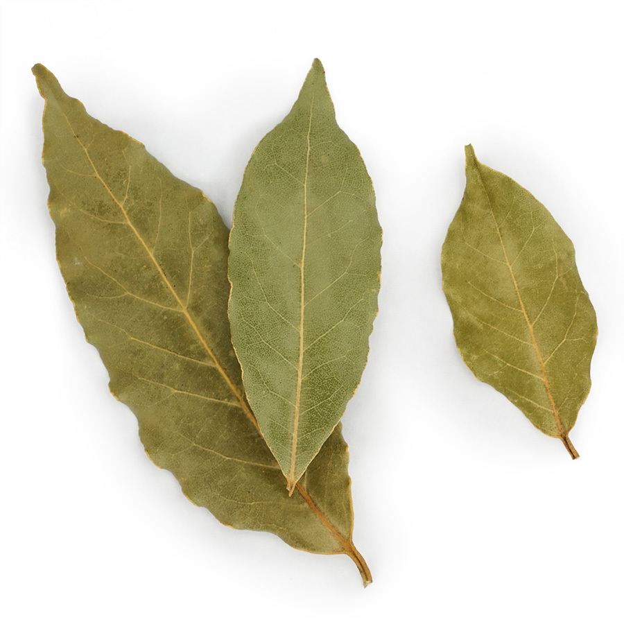 bay-leaf-daphnis-and-chloe