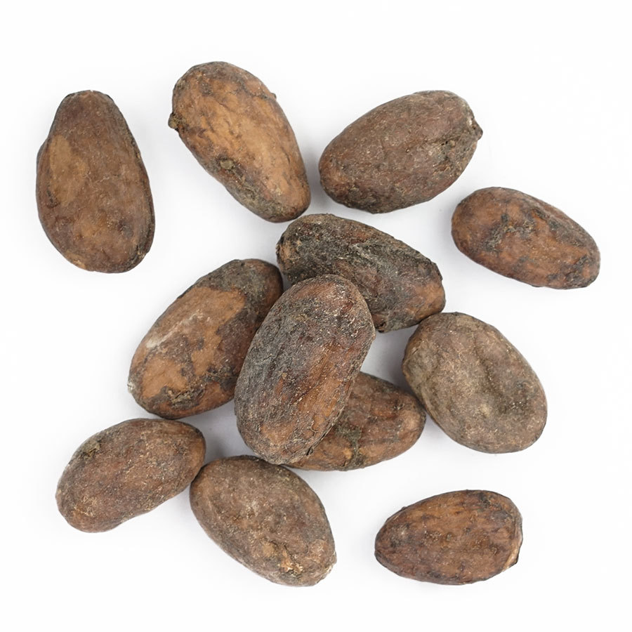cocoa-beans-raw-grenada