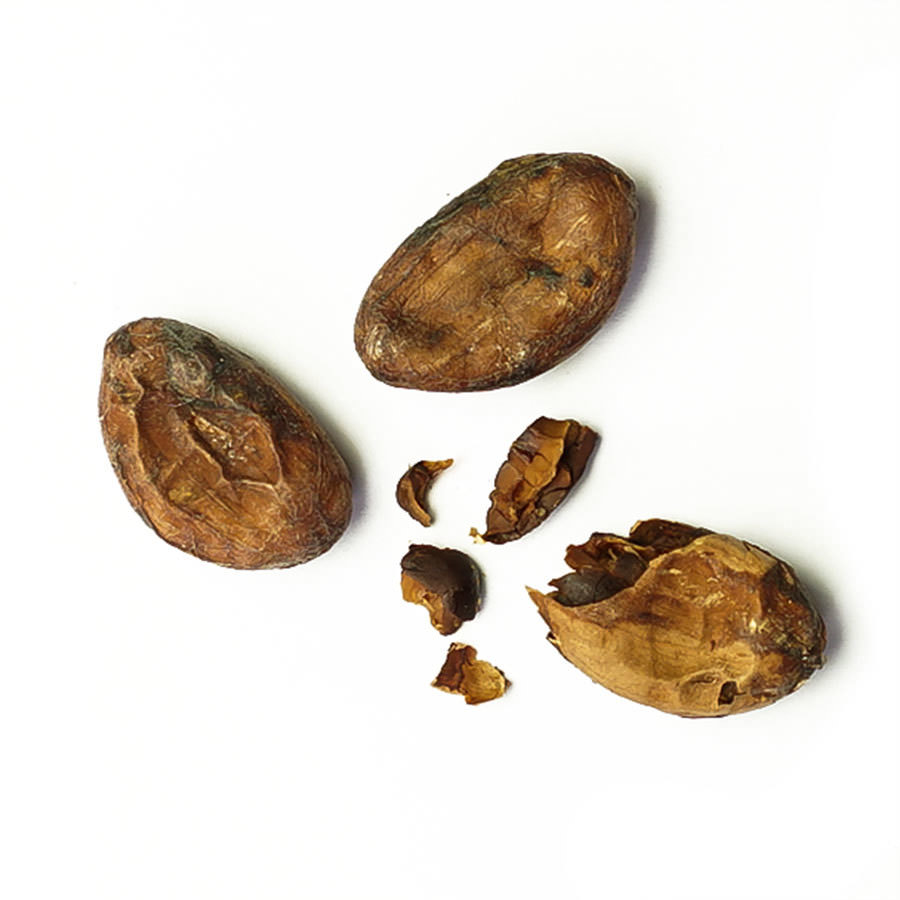 Cocoa beans (raw) - Morropon