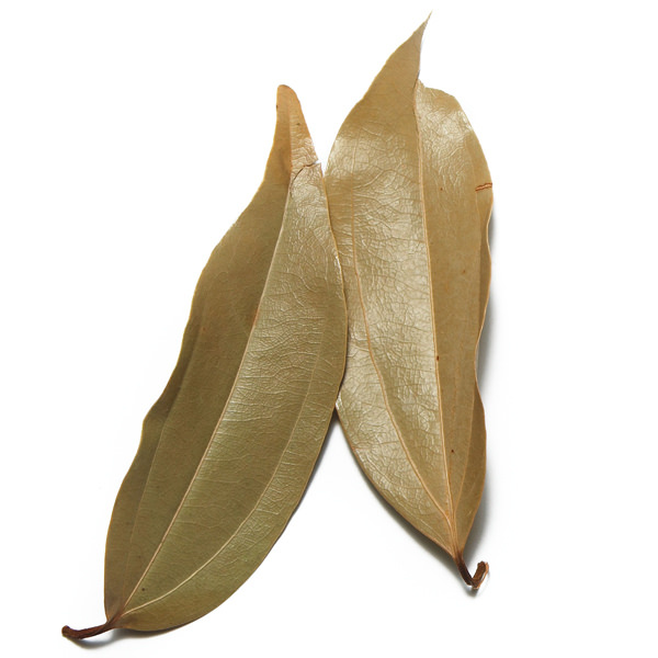 allspice-leaves