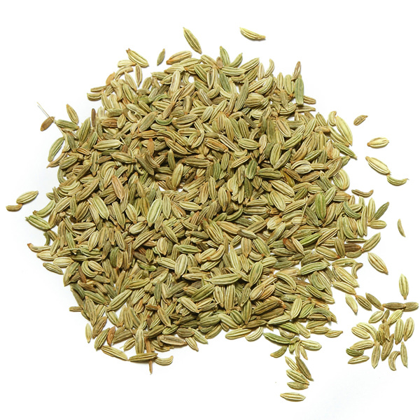 indian-fennel