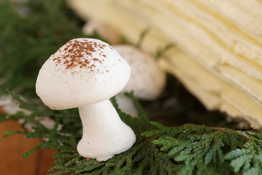 Meringue Mushrooms