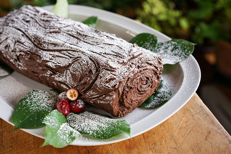 Spicy Chocolate And Cranberry Yule Log Meta