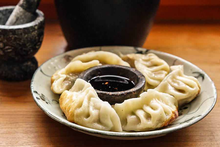 Crispy Leek and Lamb Dumplings